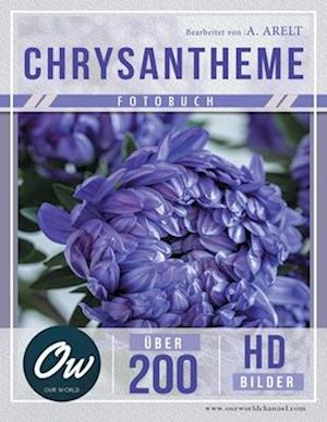 Chrysantheme