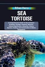 Sea Tortoise