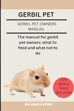 Gerbil Pet