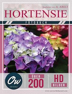 Hortensie