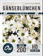 Gänseblümchen