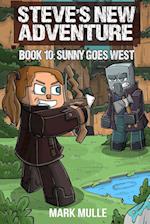 Steve's New Adventure Book 10