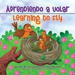 Aprendiendo a volar