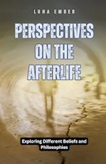 Perspectives on the Afterlife