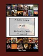 Bible Survey of the Old and New Testament