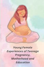 Young Female Experiences of Teenage Pregnancy, Motherhood and Education