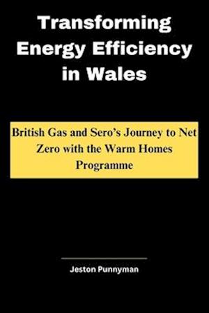 Transforming Energy Efficiency in Wales