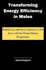 Transforming Energy Efficiency in Wales