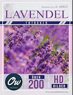 Lavendel