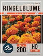 Ringelblume