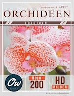 Orchideen