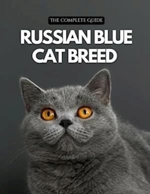 Russian Blue Cat Breed