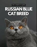 Russian Blue Cat Breed