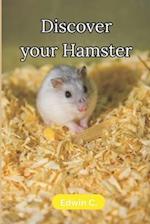 Discover your hamster