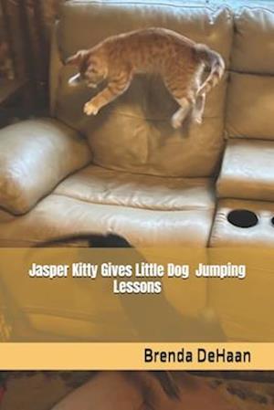 Jasper Kitty Gives Little Dog Jumping Lessons