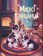 Magici Chihuahua