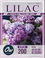 lilac