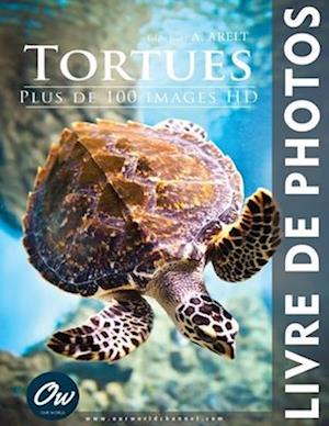 Tortues