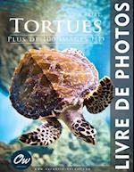 Tortues