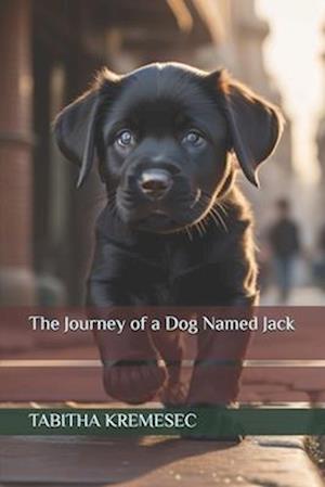 The Journey of a Dog Named Jack