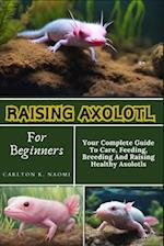 Raising Axolotl For Beginners