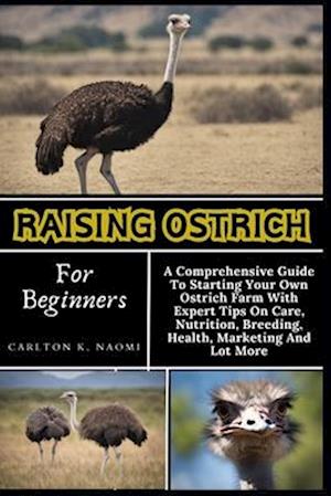 Raising Ostrich For Beginners