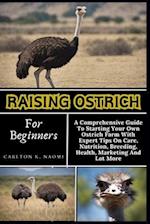 Raising Ostrich For Beginners