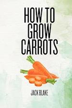 How To Grow Carrots