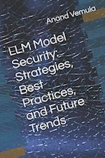 LLM Model Security