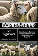 Raising Sheep for Beginners