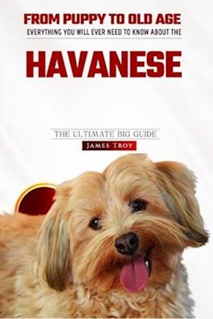 The Havanese Owners Bible