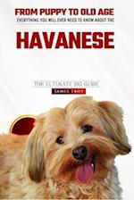 The Havanese Owners Bible