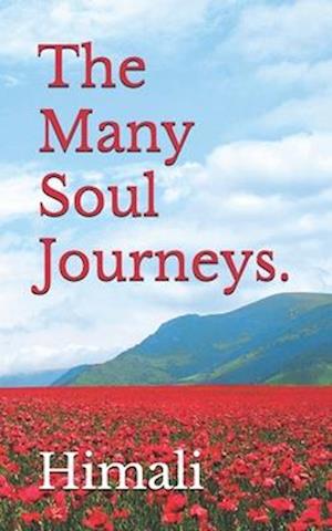 The Many Soul Journeys.