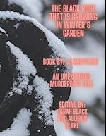 The Black Rose That Is Growing in Winter's Garden