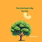 The Little Seed's Big Journey