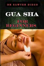 Gua Sha for Beginners