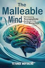 The Malleable Mind