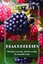 How to Grow Blackberries