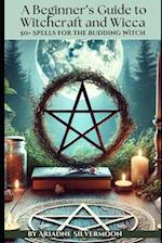 A Beginner's Guide to Witchcraft and Wicca