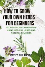 How To Grow Your Herbs For Beginners