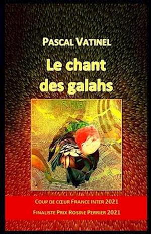 Le chant des galahs