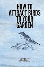 How To Attract Birds To Your Garden