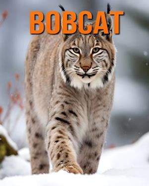 Bobcat