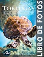 Tortugas