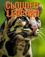 Clouded Leopard