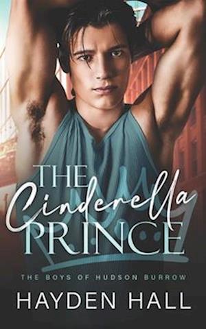 The Cinderella Prince