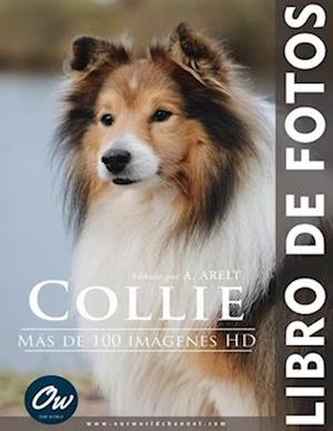 Collie