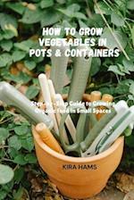 How To Grow Vegetables In Pots & Containers