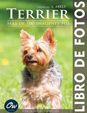 Terrier