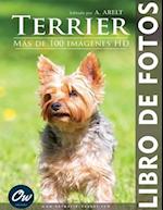 Terrier